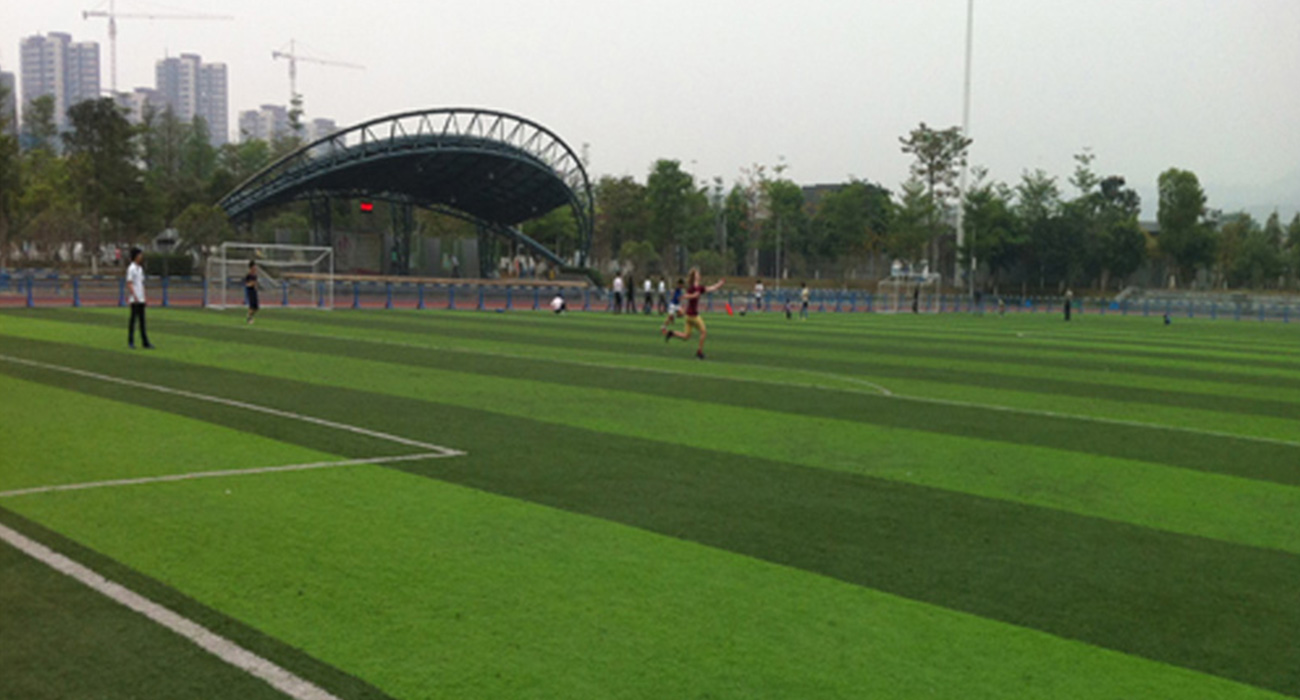 青海西宁市特警大队人工草足球场